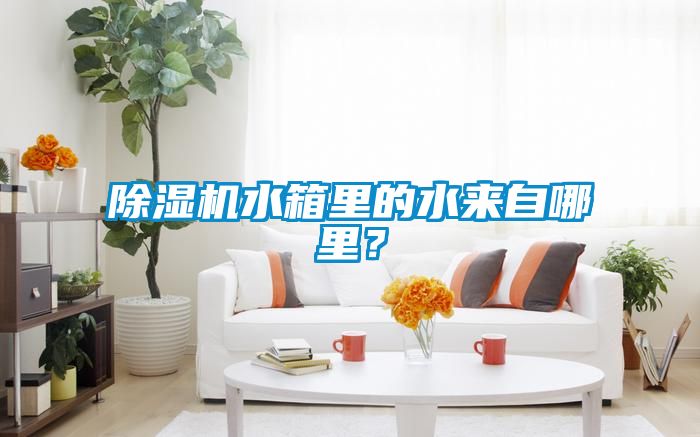 国产精品三级在线观看 除湿机水箱里的水来自哪里？