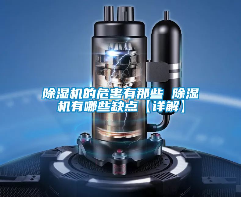 国产精品三级在线观看 除湿机的危害有那些 除湿机有哪些缺点【详解】