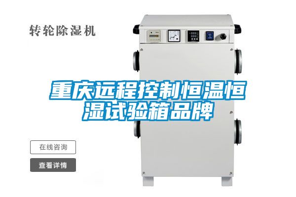 国产精品探花在线观看 重庆远程控制恒温恒湿试验箱品牌