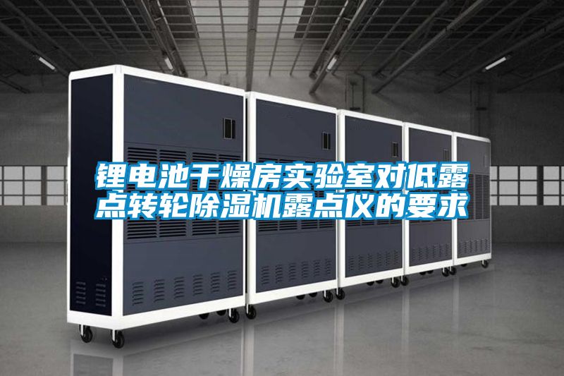 国产精品欧美激情视频 锂电池干燥房实验室对低露点转轮除湿机露点仪的要求