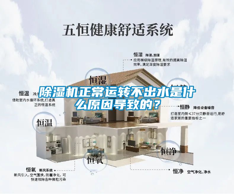 国产精品探花在线观看 除湿机正常运转不出水是什么原因导致的？
