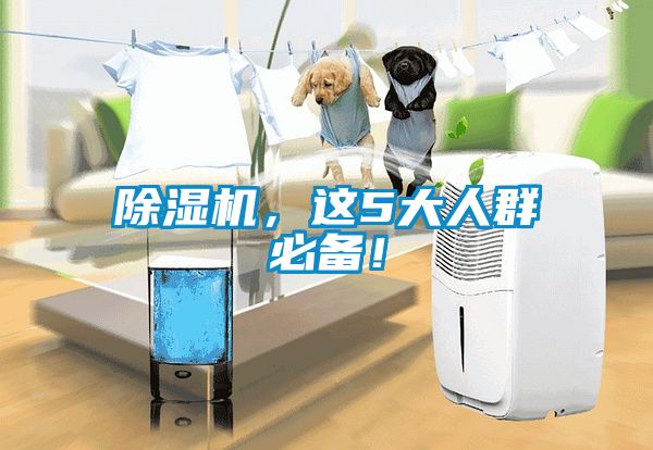国产精品三级在线观看 除湿机，这5大人群必备！