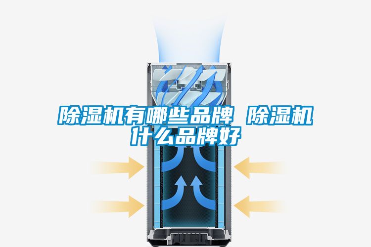 国产精品欧美激情视频 除湿机有哪些品牌 除湿机什么品牌好
