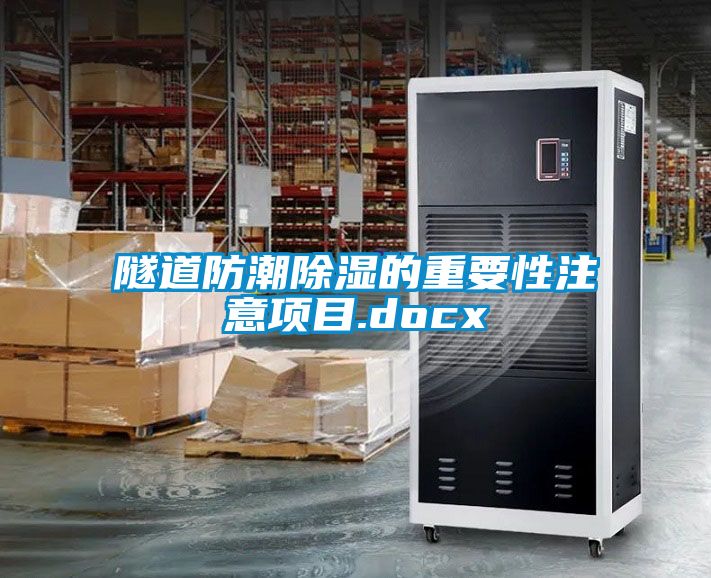 国产精品探花在线观看 隧道防潮除湿的重要性注意项目.docx