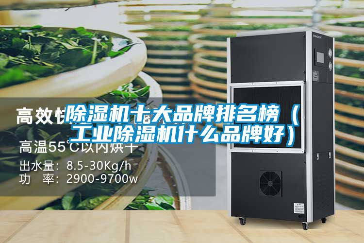 国产精品探花在线观看 除湿机十大品牌排名榜（工业除湿机什么品牌好）