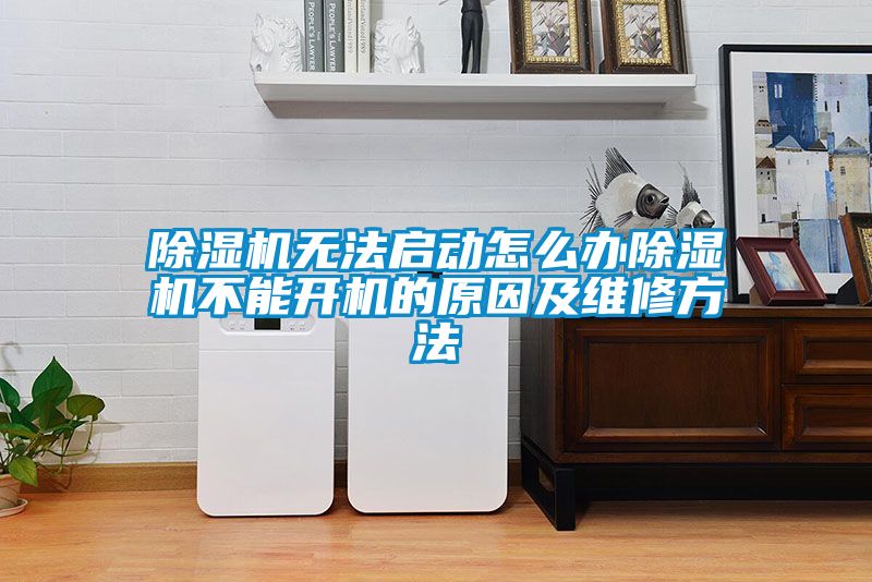 国产精品三级在线观看 除湿机无法启动怎么办除湿机不能开机的原因及维修方法