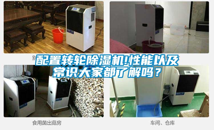 国产精品欧美激情视频 配置转轮除湿机!性能以及常识大家都了解吗？