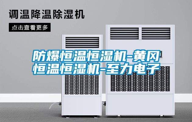 国产精品欧美激情视频 防爆恒温恒湿机-黄冈恒温恒湿机-至力电子