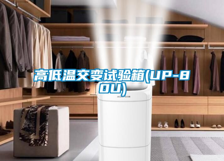国产精品欧美激情视频 高低温交变试验箱(UP-80U)