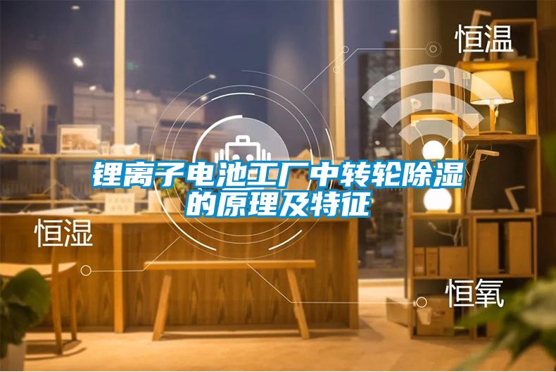 国产精品三级在线观看 锂离子电池工厂中转轮除湿的原理及特征