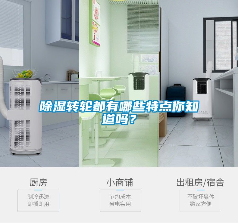 国产精品三级在线观看 除湿转轮都有哪些特点你知道吗？