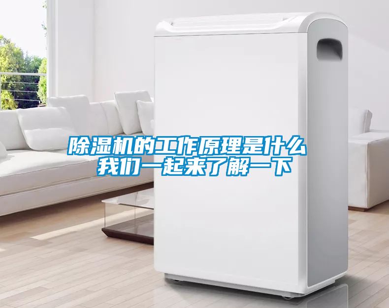 国产精品欧美激情视频 除湿机的工作原理是什么 我们一起来了解一下