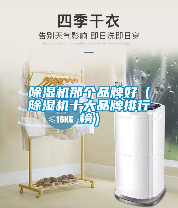 国产精品探花在线观看 除湿机那个品牌好（除湿机十大品牌排行榜）