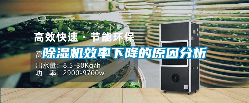 国产精品三级在线观看 除湿机效率下降的原因分析