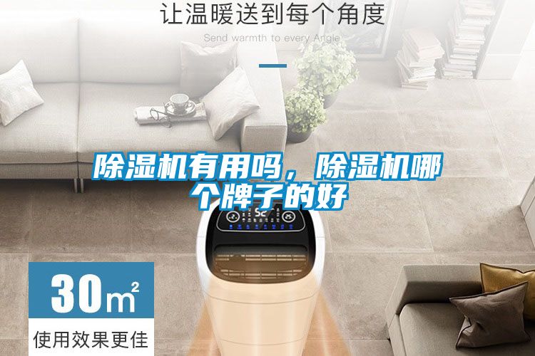 国产精品欧美激情视频 除湿机有用吗，除湿机哪个牌子的好