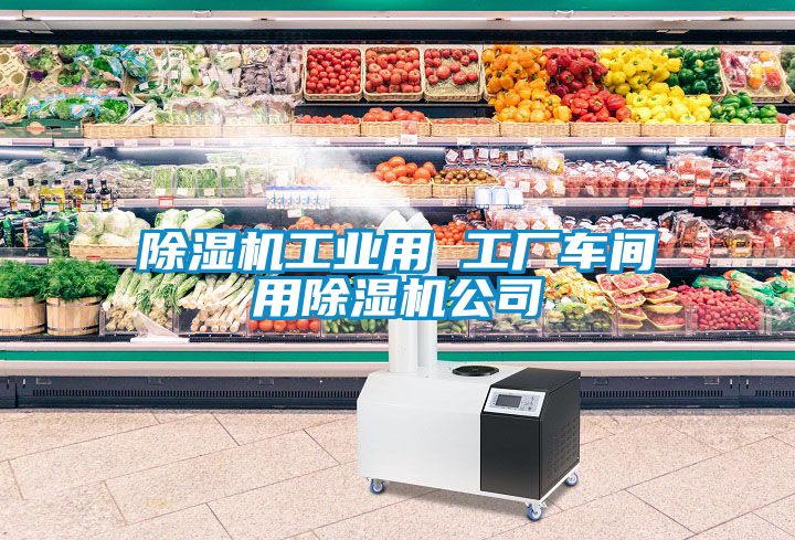 国产精品三级在线观看 除湿机工业用 工厂车间用除湿机公司