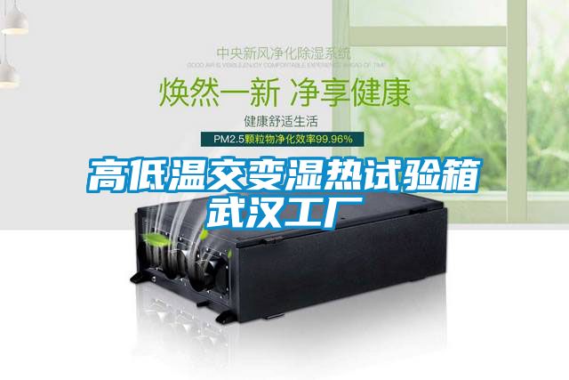 国产精品欧美激情视频 高低温交变湿热试验箱武汉工厂