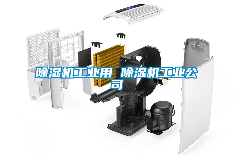 国产精品探花在线观看 除湿机工业用 除湿机工业公司