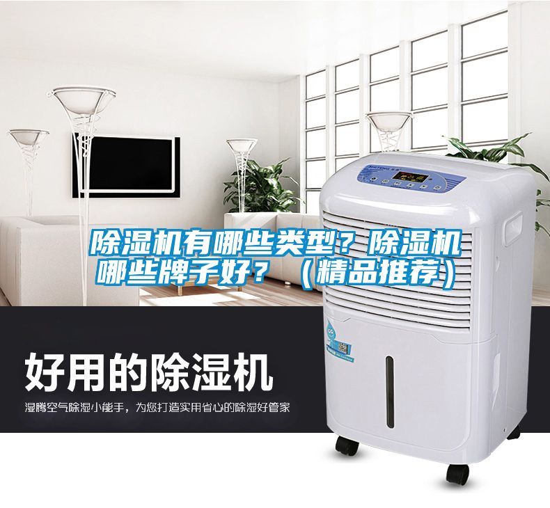 国产精品欧美激情视频 除湿机有哪些类型？除湿机哪些牌子好？（精品推荐）