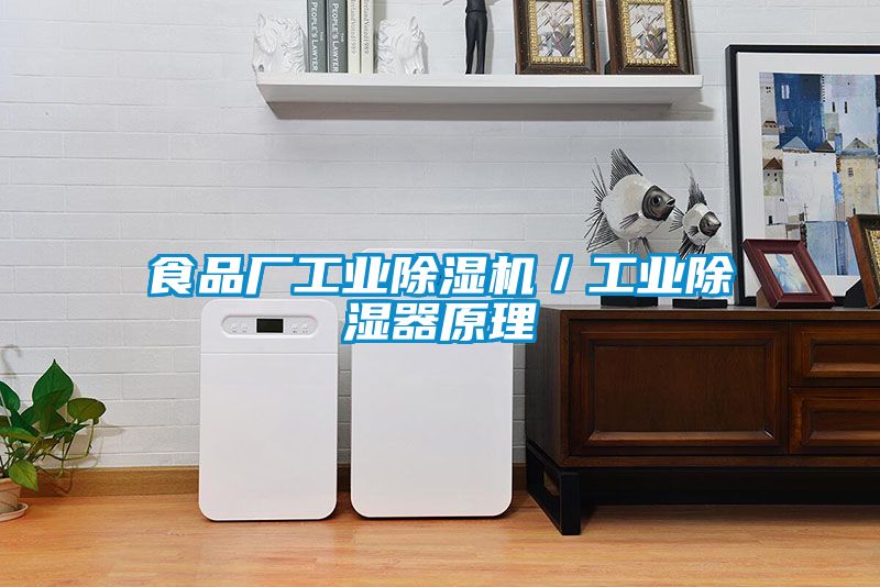国产精品三级在线观看 食品厂工业除湿机／工业除湿器原理
