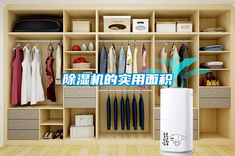 国产精品欧美激情视频 除湿机的实用面积