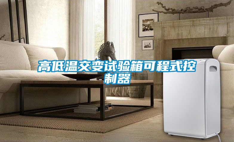 国产精品三级在线观看 高低温交变试验箱可程式控制器