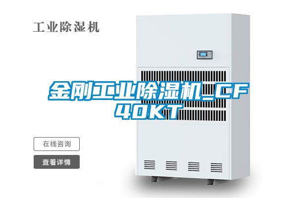 国产精品欧美激情视频 金刚工业除湿机_CF40KT