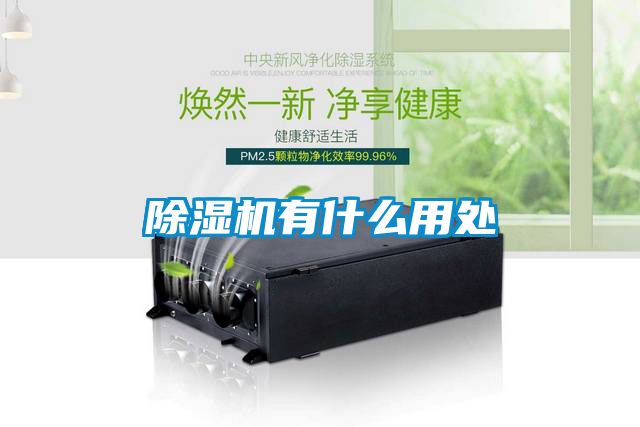 国产精品三级在线观看 除湿机有什么用处