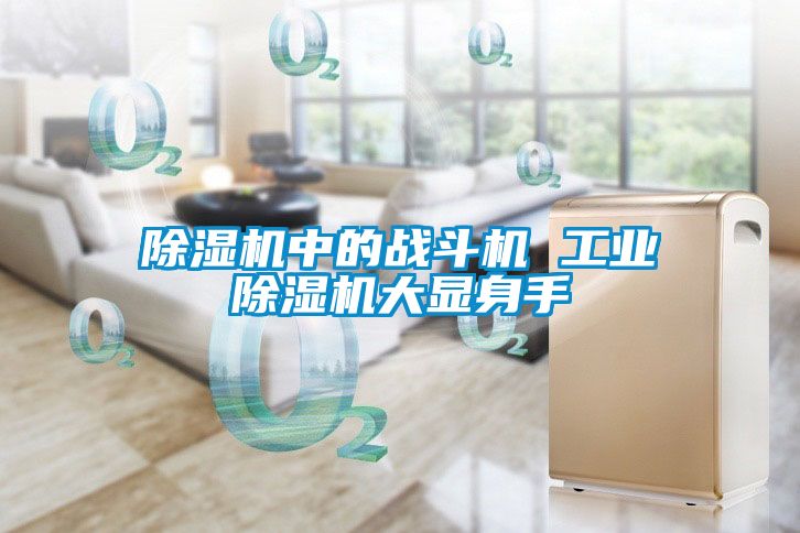 国产精品欧美激情视频 除湿机中的战斗机 工业除湿机大显身手