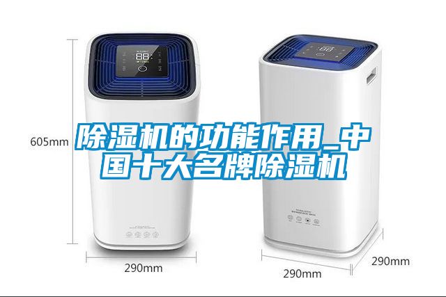 国产精品探花在线观看 除湿机的功能作用_中国十大名牌除湿机