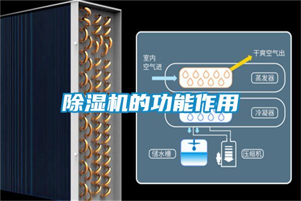 国产精品三级在线观看 除湿机的功能作用