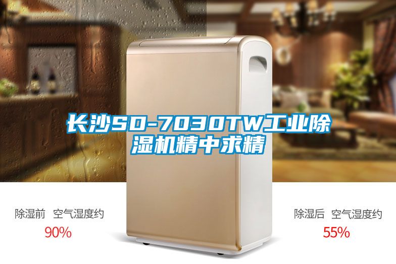 国产精品三级在线观看 长沙SD-7030TW工业除湿机精中求精