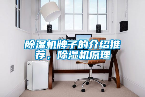 国产精品三级在线观看 除湿机牌子的介绍推荐，除湿机原理