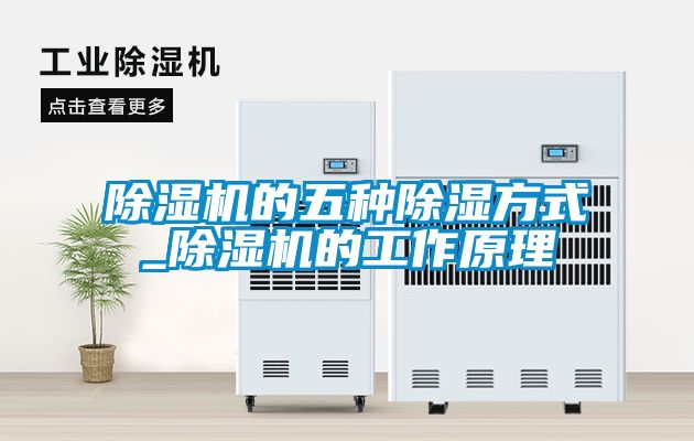 国产精品探花在线观看 除湿机的五种除湿方式_除湿机的工作原理