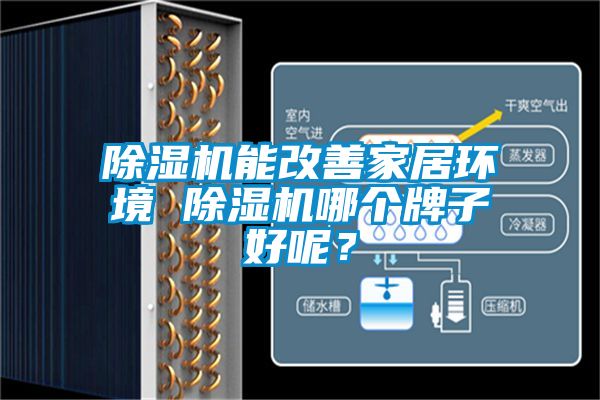 国产精品欧美激情视频 除湿机能改善家居环境 除湿机哪个牌子好呢？