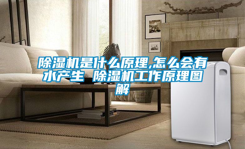 国产精品三级在线观看 除湿机是什么原理,怎么会有水产生 除湿机工作原理图解
