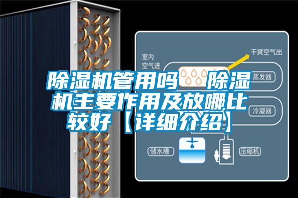国产精品探花在线观看 除湿机管用吗  除湿机主要作用及放哪比较好【详细介绍】