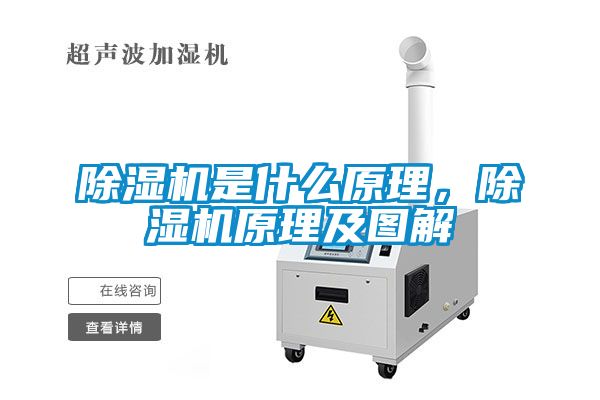 国产精品欧美激情视频 除湿机是什么原理，除湿机原理及图解