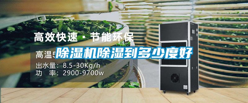 国产精品三级在线观看 除湿机除湿到多少度好