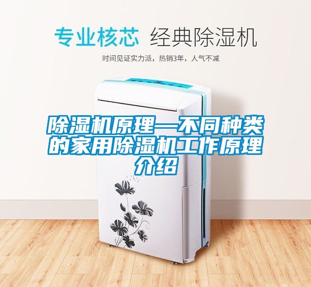 国产精品探花在线观看 除湿机原理—不同种类的家用除湿机工作原理介绍