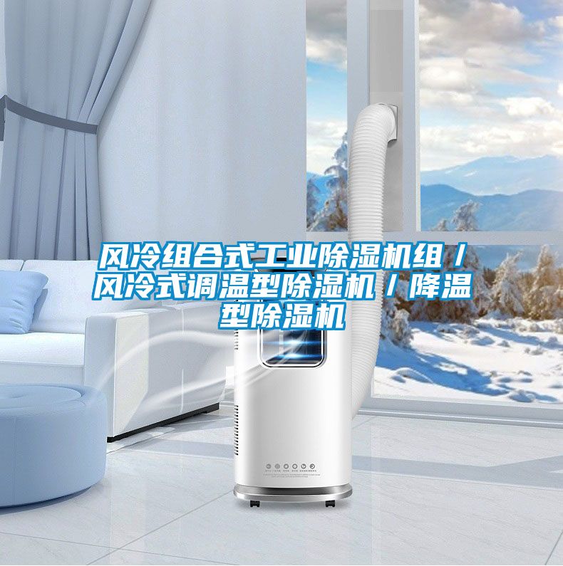 国产精品探花在线观看 风冷组合式工业除湿机组／风冷式调温型除湿机／降温型除湿机