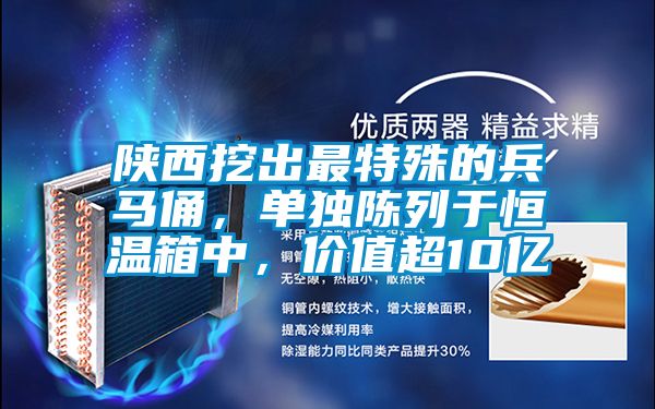 国产精品欧美激情视频 陕西挖出最特殊的兵马俑，单独陈列于恒温箱中，价值超10亿