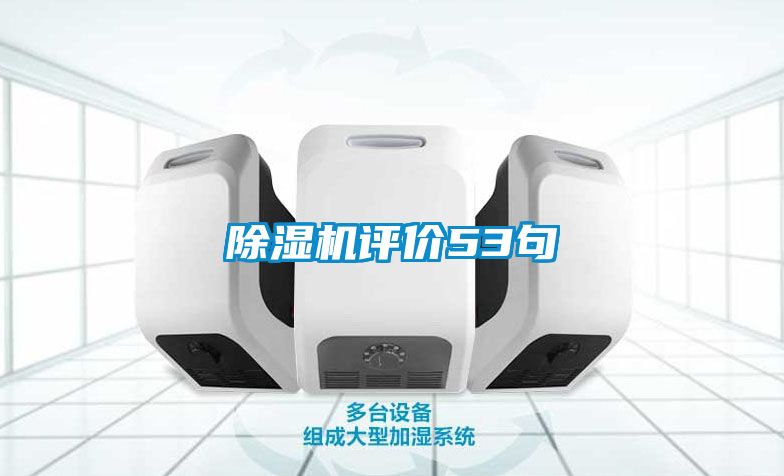 国产精品三级在线观看 除湿机评价53句