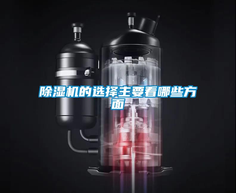 国产精品欧美激情视频 除湿机的选择主要看哪些方面