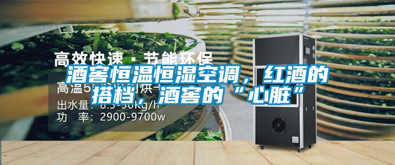 国产精品欧美激情视频 酒窖恒温恒湿空调，红酒的搭档，酒窖的“心脏”