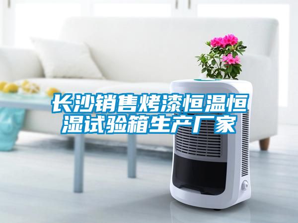 国产精品三级在线观看 长沙销售烤漆恒温恒湿试验箱生产厂家