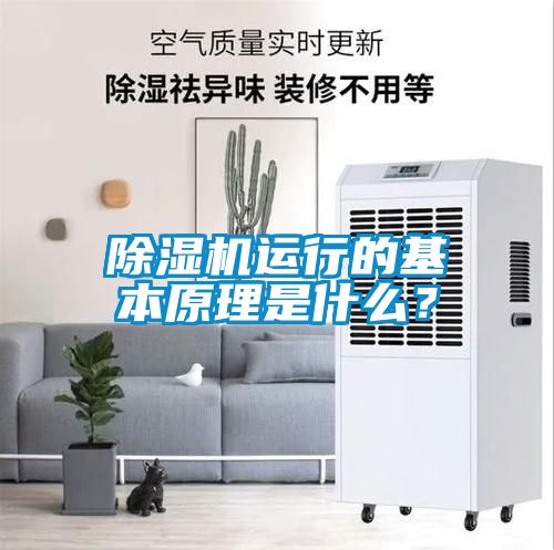 国产精品欧美激情视频 除湿机运行的基本原理是什么？