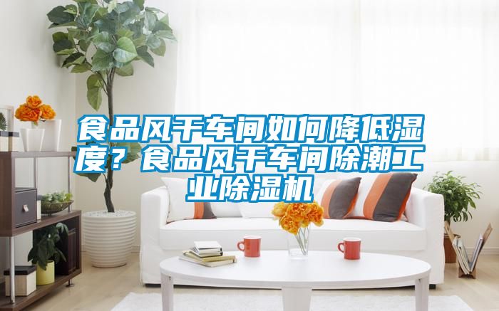 国产精品探花在线观看 食品风干车间如何降低湿度？食品风干车间除潮工业除湿机