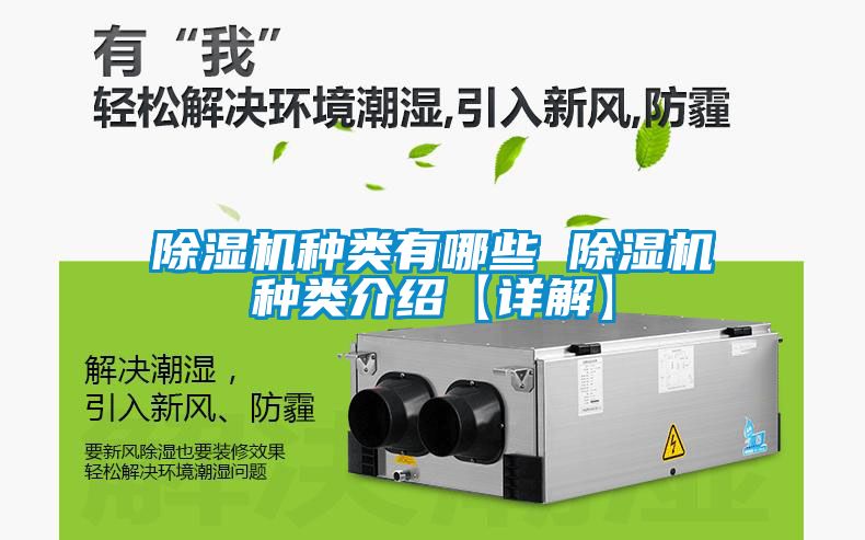国产精品欧美激情视频 除湿机种类有哪些 除湿机种类介绍【详解】