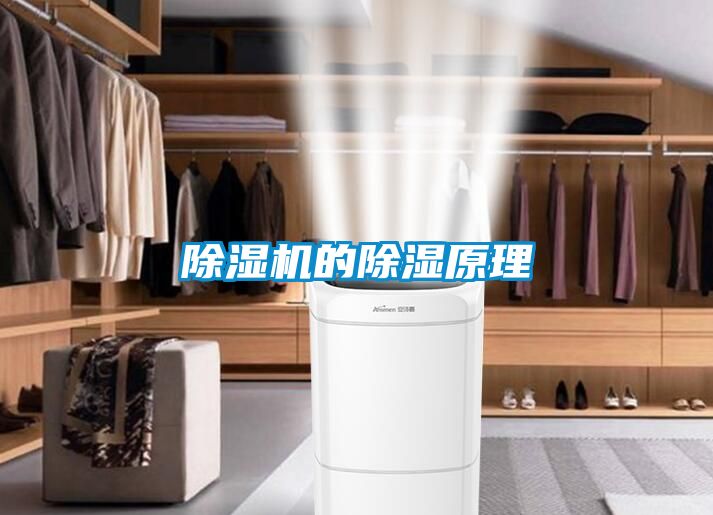 国产精品三级在线观看 除湿机的除湿原理